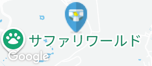 アドベンチャーワールド(入口)(1F)のオムツ替え台情報