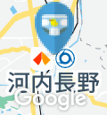 南海電気鉄道 河内長野駅（改札内）のオムツ替え台情報