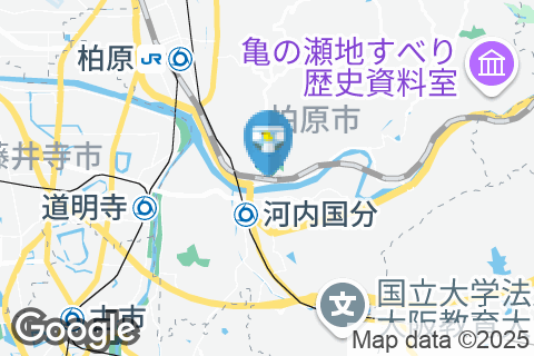 JR西日本 高井田駅（改札内）のオムツ替え台情報