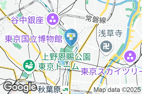 Tokyo National Museum B1 Multiuse Multipurpose Washroom(B1)のオムツ替え台情報