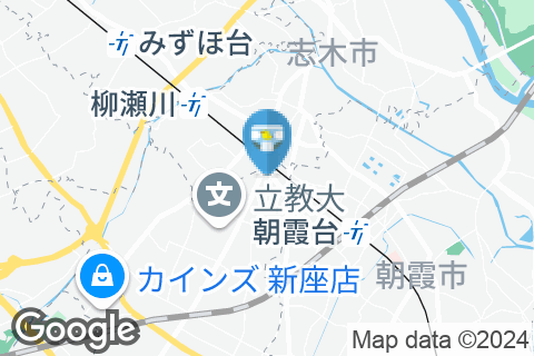 TAIRAYA志木店 だれでもトイレ(1F)のオムツ替え台情報