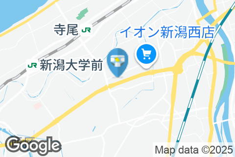 コメリパワー 新潟西店(1F)のオムツ替え台情報
