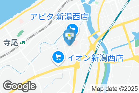 ヤマダ電機 テックランド新潟西店(1F)のオムツ替え台情報