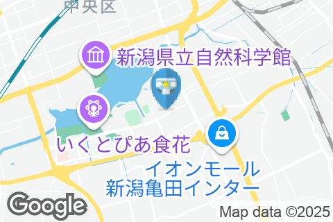 大滝耳鼻科クリニック(1F)のオムツ替え台情報