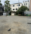 代々木みどり公園のオムツ替え台情報