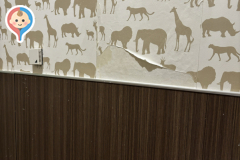 イオンモール名古屋茶屋(1F イオンペット側のトイレ)の授乳室・オムツ替え台情報