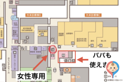 東北大学病院（外来診療棟C / 多目的トイレ）(1F)のオムツ替え台情報