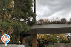 福岡市植物園展望台(1F)の授乳室情報