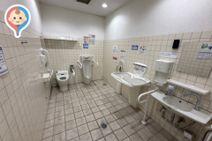 ダイレックス 姫路大津店（多目的トイレ）のオムツ替え台情報