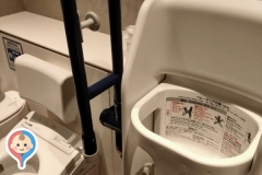 THE BLOSSOM HAKATA Premier （ザ ブラッサム 博多プレミア）

多目的トイレ内(3F)のオムツ替え台情報