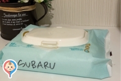 Subaruの授乳室・オムツ替え台情報