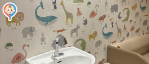 JR東日本 有楽町駅多目的トイレ(中央口改札内)(1F)の授乳室・オムツ替え台情報