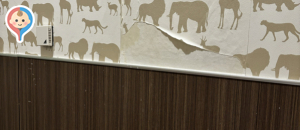 イオンモール名古屋茶屋(1F イオンペット側のトイレ)の授乳室・オムツ替え台情報