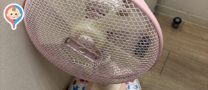 ヤマダ電機 LABI1 日本総本店 池袋(6F)の授乳室・オムツ替え台情報