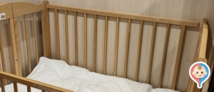 ロッテシティホテル錦糸町(3F)の授乳室情報