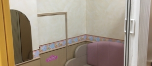 トイザらス  西春日井店(1F)の授乳室・オムツ替え台情報