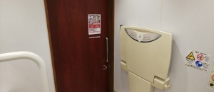 ビッグボーイ 入間藤沢店(多目的トイレ)のオムツ替え台情報