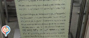 新宿多文化共生プラザの授乳室・オムツ替え台情報