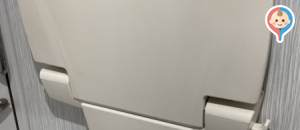 ウインクあいち(愛知県産業労働センター)(6階)のオムツ替え台情報