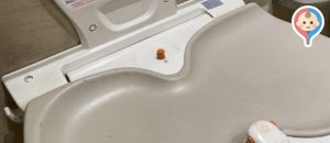 パサージオ西新井 1階 だれでもトイレ のオムツ替え台情報