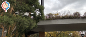 福岡市植物園展望台(1F)の授乳室情報