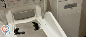 新静岡セノバ　多目的トイレのオムツ替え台情報