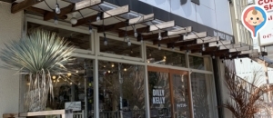 ダイジングーのオムツ替え台情報