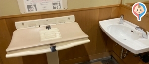Junsei 多目的トイレ　1F(1F)のオムツ替え台情報