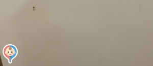 コーナン 日進店のオムツ替え台情報