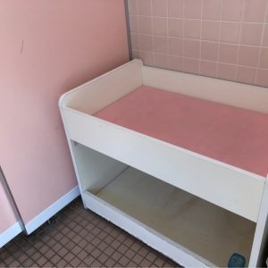 比較的綺麗ではあるけれど、トイレ自体が外なので虫がいた