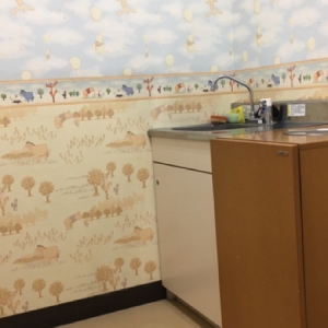 石鹸置いてありますがミルクのはありません。