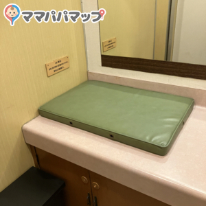 女子トイレ　このマットのすぐ右は手洗い水道