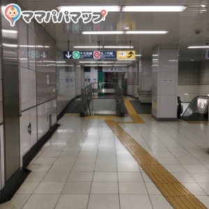 溜池山王駅（千代田線側　永田町改札5番6番出口付近）のオムツ替え台情報 画像6
