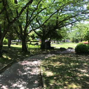 尾西公園のオムツ替え台情報 画像1
