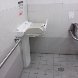 志村ショッピングセンター(1F)のオムツ替え台情報 画像2