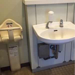 西ヶ原みんなの公園 南口広場多機能トイレのオムツ替え台情報 画像1