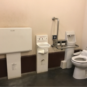 スターバックスコーヒー 上野恩賜公園店(1F)のオムツ替え台情報 画像5