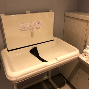 大田区民ホール・アプリコ(1F)のオムツ替え台情報 画像1