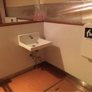 偕楽園公園センター 多目的トイレ(1F)のオムツ替え台情報 画像1