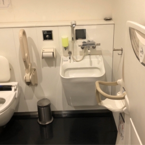 ヒューリックホール(1F)のオムツ替え台情報 画像2