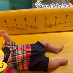 身長ざっくり計れます。