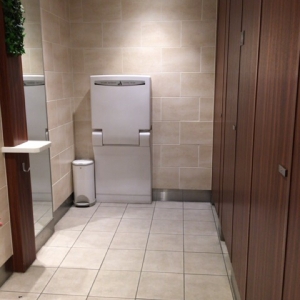 テルミナ2 ダイナー 1階女子トイレ(1F)のオムツ替え台情報 画像1