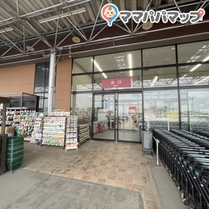 カインズホーム 館山店(1F)の授乳室・おむつ替え台の写真(1枚目)
