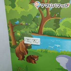 コンセント(日本のAタイプ不可)
