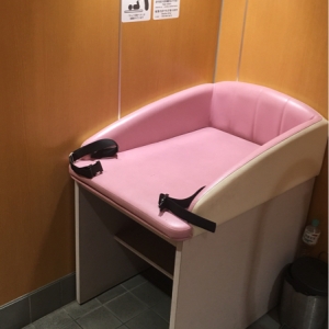 マックスバリューエクスプレス千鳥橋店(多目的トイレ内)のオムツ替え台情報 画像1