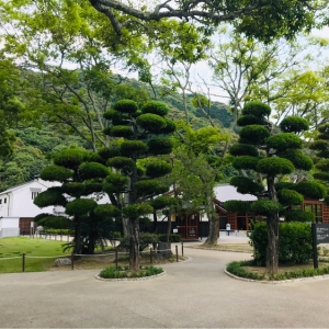 遠くから見たところ