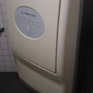 真岡駅(1F 東口駅舎内多機能トイレ)の授乳室・おむつ替え台の写真(3枚目)