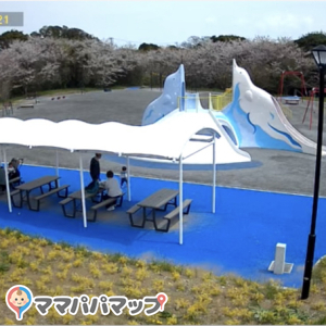 なみはらくじらパーク（和田地域福祉センターやすらぎ内）の授乳室・おむつ替え台の写真(1枚目)