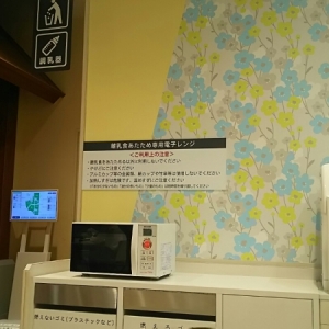ラゾーナ川崎 フードコート(1F)の授乳室・オムツ替え台情報 画像5