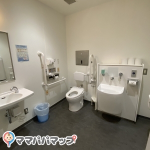 福井市役所 別館のオムツ替え台情報 画像3
